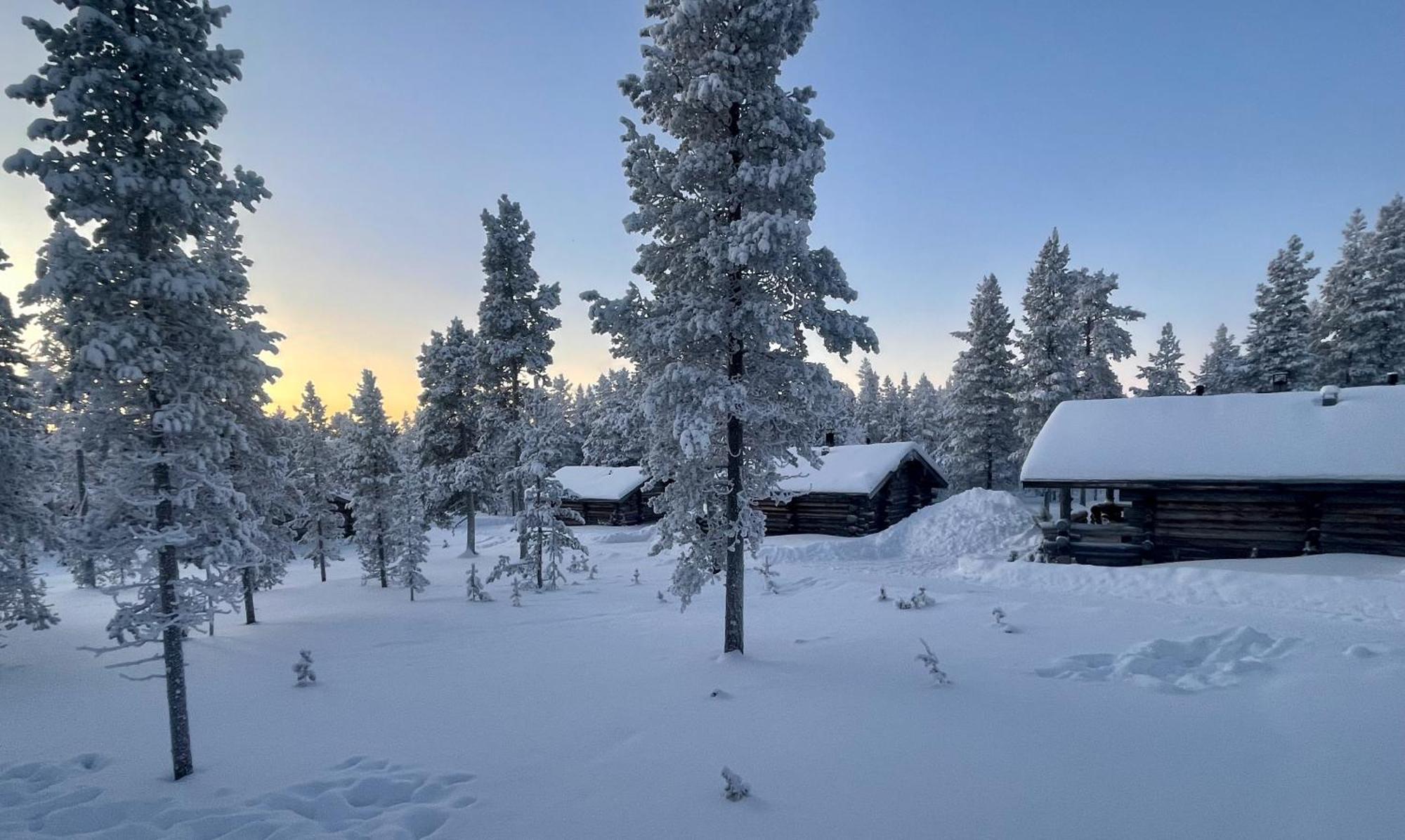 Arctic Log Cabins 萨利色尔卡 外观 照片