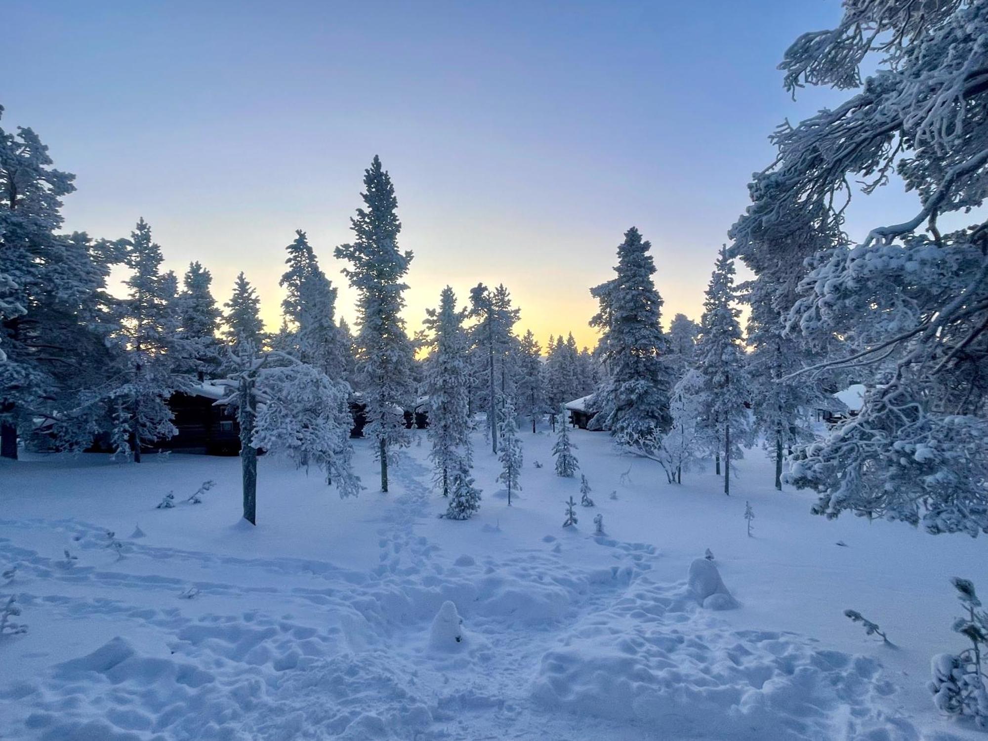 Arctic Log Cabins 萨利色尔卡 外观 照片
